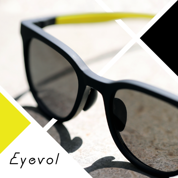 Eyevol 入荷