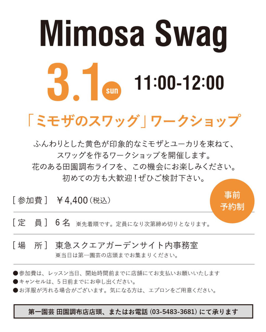 ミモザのスワッグをつくるワークショップ開催！